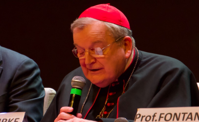 Cardinal Burke : les restrictions imposées par le pape François concernant les messes en latin ont eu « exactement l'effet inverse »