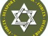 Diaspora Defense Forces, une “armée” juive sur sol français avec le soutien du ministère israélien de  la diaspora