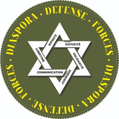 Diaspora Defense Forces, une "armée" juive sur sol français avec le soutien du ministère israélien de la diaspora
