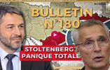 Bulletin N°180 – Centre d’Analyse Politico-Stratégique – Panique à l’OTAN, Panda bonds, Institut Montaigne – 05 avril 2024