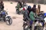 Zone des Trois Frontières : les islamistes exigent la conversion, le paiement d’une taxe ou la fuite