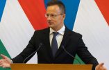 Le sabotage du gazoduc Nord Stream présente tous les signes d’un terrorisme d’État, selon le ministre hongrois des Affaires étrangères