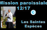 Mission paroissiale d’Avignon – Douzième instruction de M. l’abbé Pierre-Marie Laurençon : “Les Saintes Espèces”