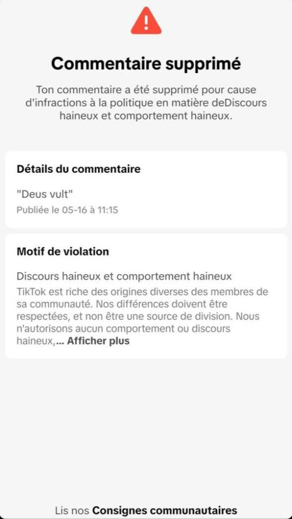 L'expression Deus Vult censurée sur TikTok