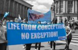 Les évêques d’Angleterre font pression sur les candidats aux élections pour qu’ils s’opposent à l’avortement et au suicide assisté