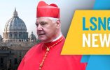 Cardinal Müller : le Vatican préfère les églises vides aux cathédrales pleines