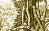 Dimanche 11 août – Douzième dimanche après la Pentecôte – Saints Tiburce et Suzanne, Martyrs – Sainte Philomène, Vierge et Martyre – Bienheureux Innocent XI, le Pape des pauvres