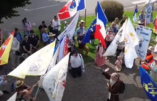 Le reportage vidéo du pèlerinage à Domrémy, sur les pas de Ste Jeanne d’Arc