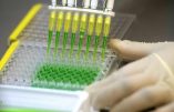 L’OMS veut un nouveau vaccin ARN contre la grippe aviaire humaine