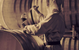 La Provence, un terroir idéal pour les vins monastiques !