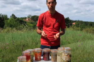 Lactofermentation : réalisez simplement vos propres conserves de fruits et légumes