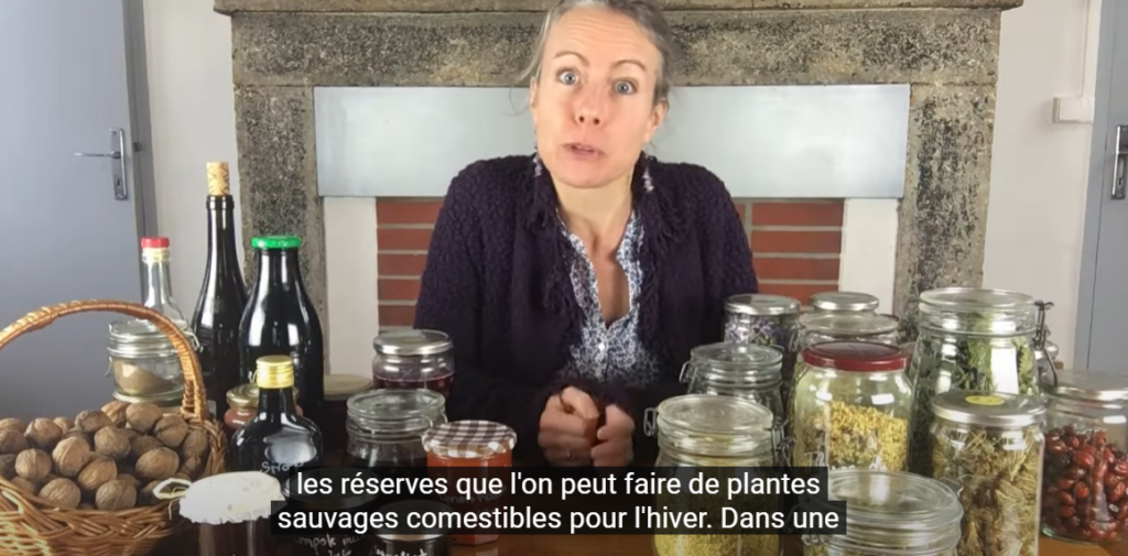 Les réserves d'hiver de plantes sauvages comestibles : les plantes séchées