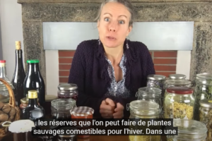 Les réserves d’hiver de plantes sauvages comestibles : les plantes séchées