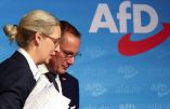 GEXIT : le programme électoral de l’AfD inclut la sortie de l’UE et de l’euro