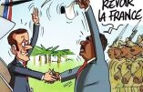 Total fiasco macroniste en Afrique : après le Mali, le Burkina Faso et le Niger, c’est au tour du Tchad et du Sénégal de larguer les amarres !