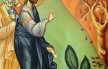 Qui legit intellegat : homélie de Mgr Carlo Maria Viganò, archevêque, pour le 1er dimanche de l’Avent
