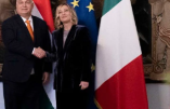 Giorgia Meloni a félicité M. Orbán pour la présidence hongroise de l’UE