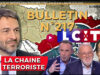 Bulletin N° 217 – Centre d’Analyse Politico-Stratégique – Terrorisme global, Poutine défie l’OTAN, Anne de Kiev a déserté 20 décembre 2024