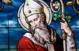 Lundi 17 mars – De la férie – Saint Patrice, Évêque et Confesseur – Bienheureux Marc de Montegallo, Prêtre, Premier ordre franciscain