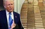 Musk et Trump demandent où sont les réserves d’or de Fort Knox