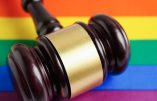 Le cofondateur d’un lobby LGBT reconnu coupable d’avoir violé un garçon de 12 ans