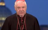 Le cardinal Müller met en garde contre un possible schisme si un pape orthodoxe n’est pas élu