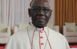 La fausse rumeur qui prétend que Léon XIV a confié une mission spéciale au Cardinal Sarah pour « sauver l’Église catholique »