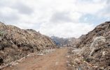 Hypocrisie de l’Union Européenne qui utilise l’Afrique comme dépotoir pour atteindre ses objectifs environnementaux