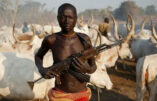 Un prêtre nigérian affirme que les chrétiens seront contraints de se défendre avec des armes