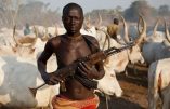 Un prêtre nigérian affirme que les chrétiens seront contraints de se défendre avec des armes