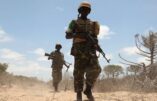 L’armée nigériane tue plus de 60 djihadistes à Borno