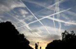 La Floride adopte une loi interdisant les « chemtrails » et limitant l’ingénierie climatique