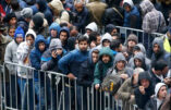 Après la fermeture des frontières, le gouvernement allemand suspend le regroupement familial…