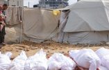 Et pendant ce temps le massacre à Gaza se poursuit