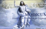 Homélie de Mgr Carlo Maria Viganò, archevêque, pour la fête de l’Ascension de Notre Seigneur – 29 mai 2025
