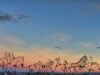 Little Bighorn : une bataille dans la mémoire américaine