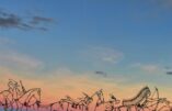 Little Bighorn : une bataille dans la mémoire américaine