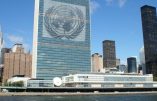 Pression de l’ONU en faveur de l’avortement et de l’idéologie du genre
