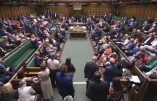 Le Parlement britannique approuve à une écrasante majorité la légalisation de l’avortement jusqu’à la naissance