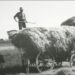 Une époque dure mais fière et où il faisait bon vivre dans la France du Pays Réel…
