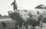 Une époque dure mais fière et où il faisait bon vivre dans la France du Pays Réel…