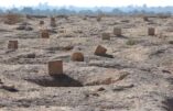 Le patriarche chaldéen appelle à l’arrêt de la destruction des cimetières chrétiens historiques à Najaf