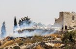 Cisjordanie sous siège israélien : 89 nouvelles colonies depuis 2024
