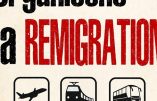 Comme Civitas en son temps, Vox appelle à la « remigration » de tous les clandestins