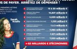 Sarah Knafo explique à François Bayrou comment faire des économies sans piocher toujours dans la poche des mêmes !
