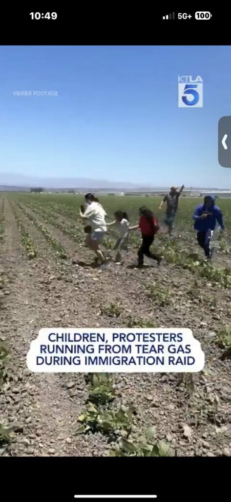 Des enfants retrouvés dans des plantations de marijuana en Californie