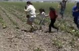 Des enfants retrouvés dans des plantations de marijuana en Californie