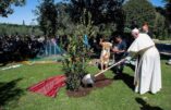 Le pape François plante un arbre au Vatican avec des indigènes d'Amazonie