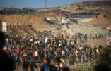 Les Hunger Games de Gaza