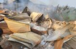 Massacre au Congo : Au moins 31 catholiques tués lors d’une veillée de prière